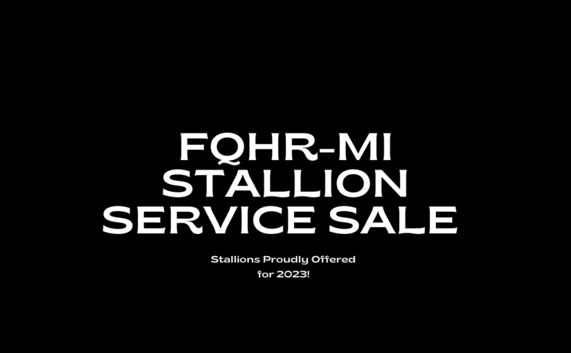 2023 Stallion Service Sale